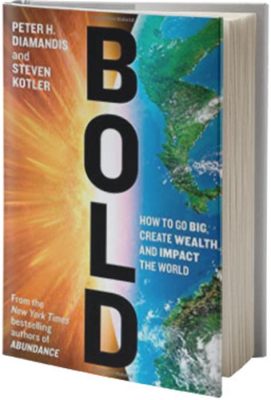  Bold: How to Go Big, Create Success, and Impact the World - Ein Leitfaden für Mutige Seelen und Weltveränderer