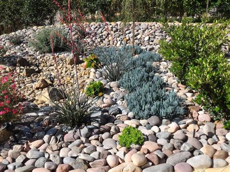  Xeriscape Gardening for the Mexican Landscape: A Symphony of Dry Beauty and Practical Wisdom